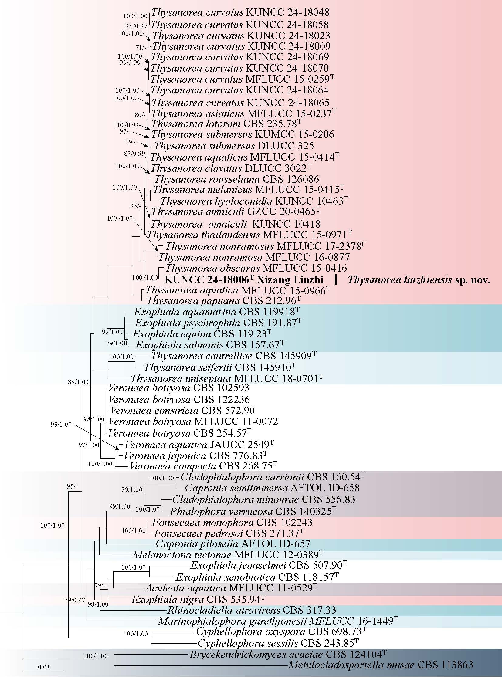 Figure 24